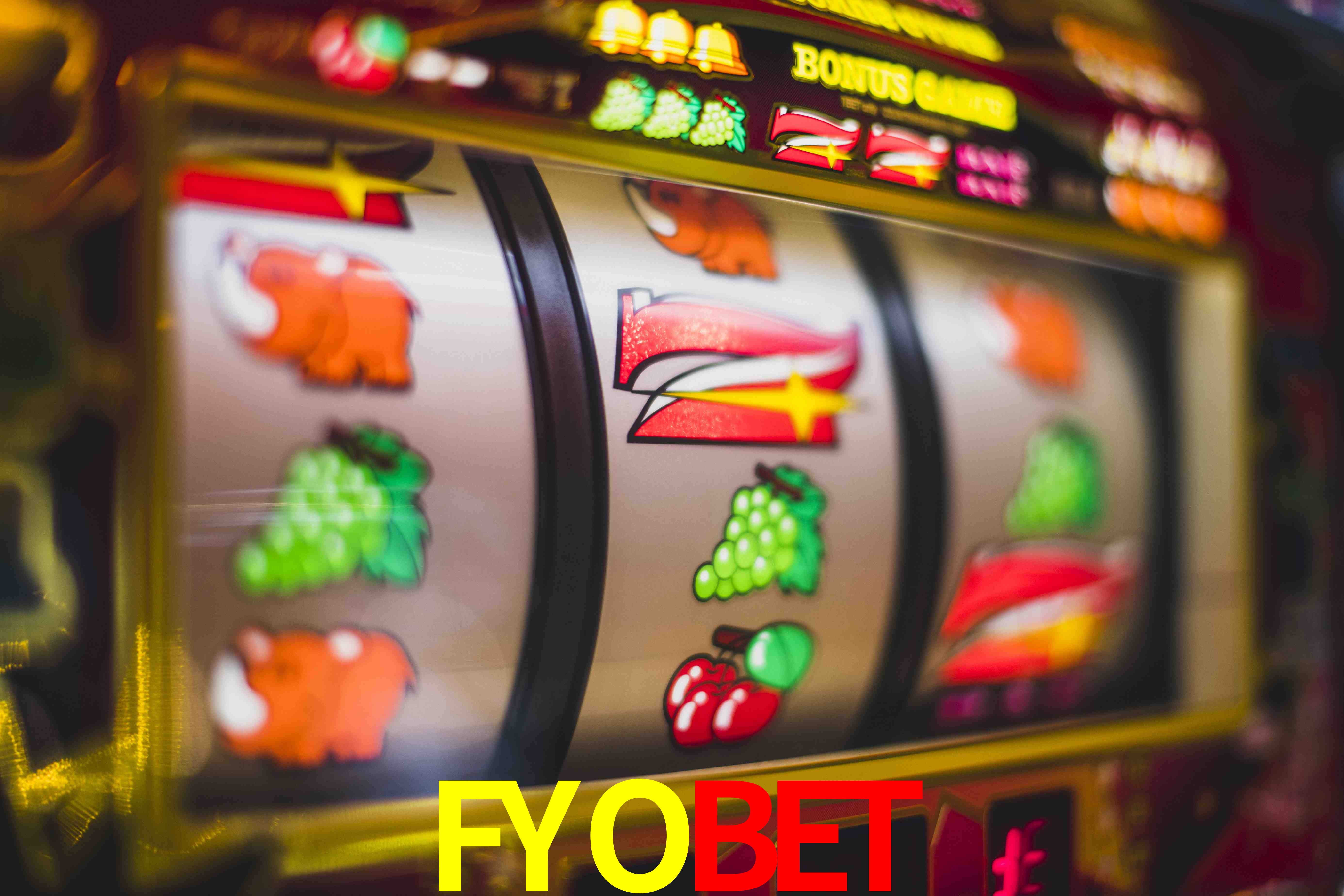 Sports Statistics FYOBET